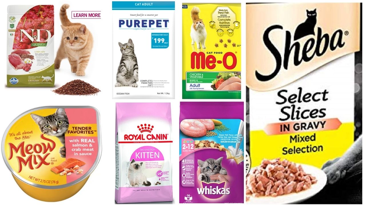 Top 10 Best Cat Food Brands In Malaysia 2023 Dry Wet 