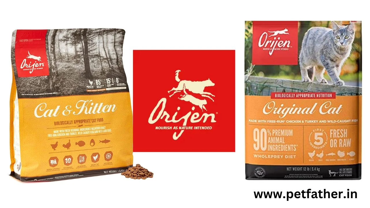 Orijen Cat Food Review