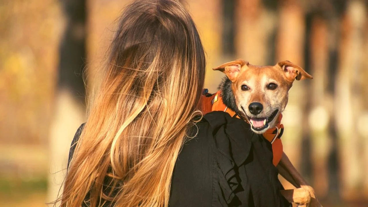 Pet Ownership Linked to Lower Stress and Loneliness During COVID-19 Pandemic