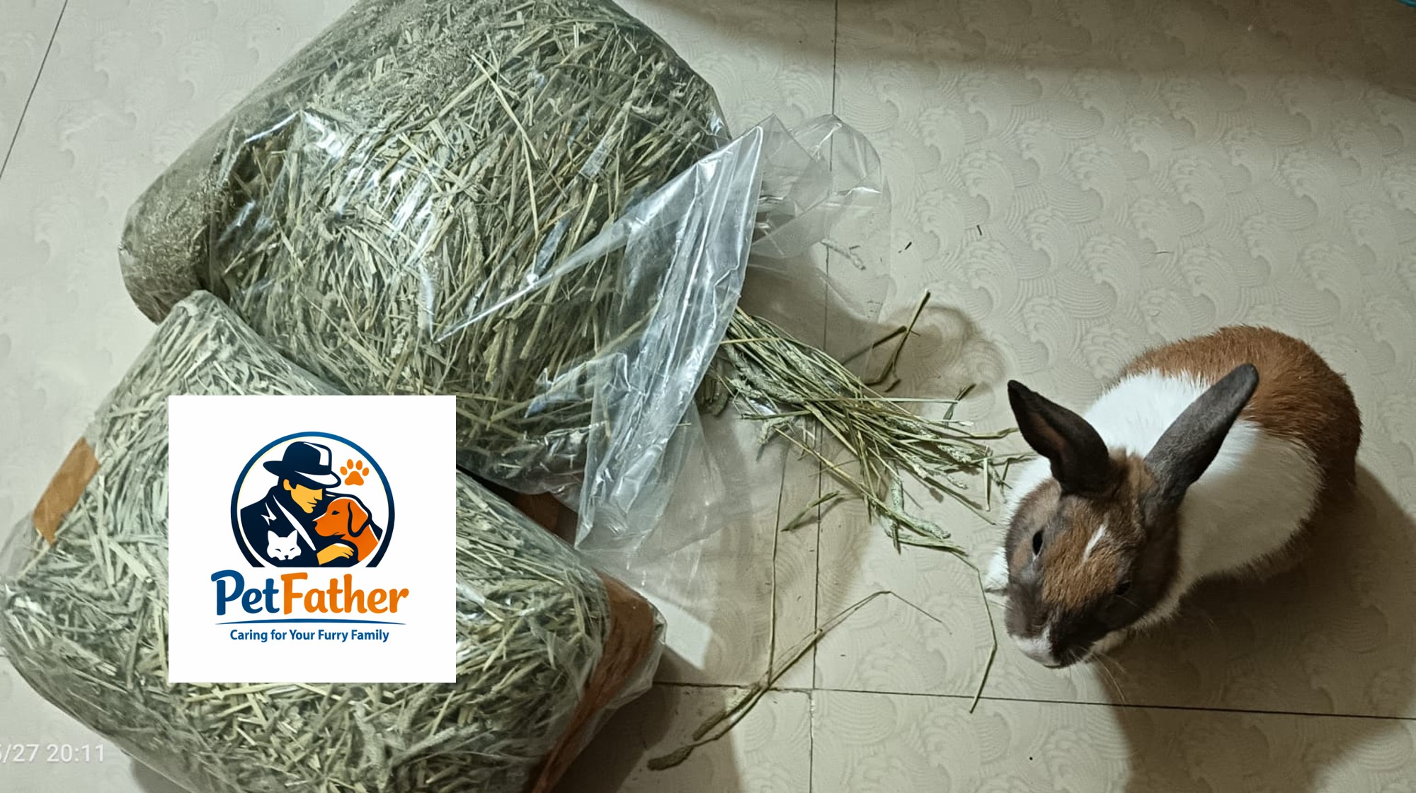 Timothy Hay (1 Kg) Timothy Hay 1 Kg Petfather Kolkata West Bengal